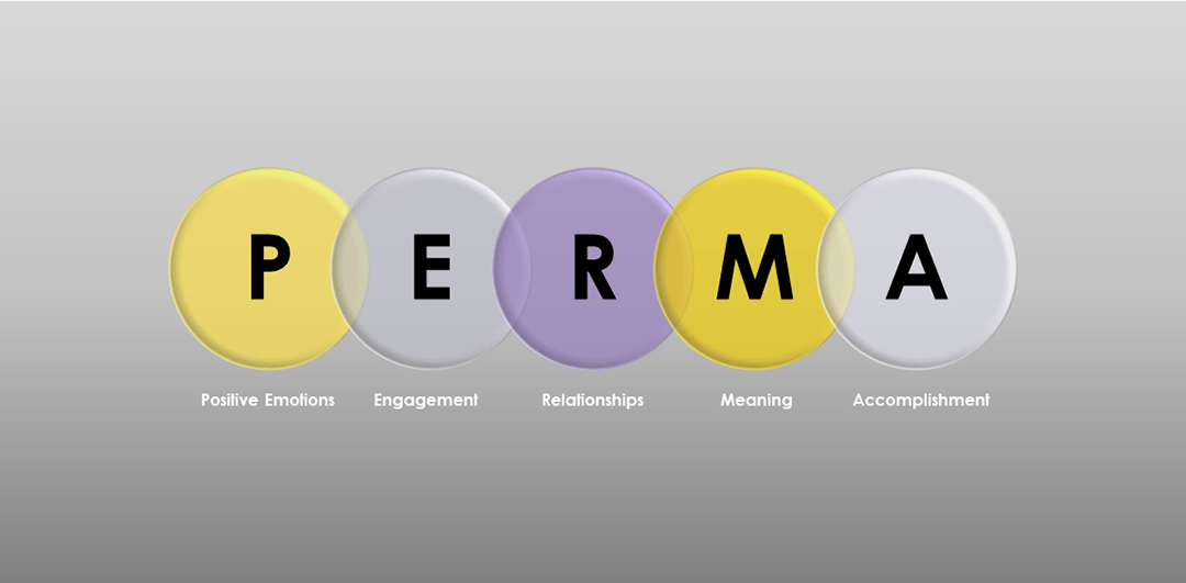 P.E.R.M.A.