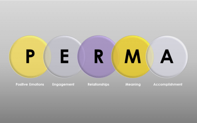ARTICLES 4 P.E.R.M.A.