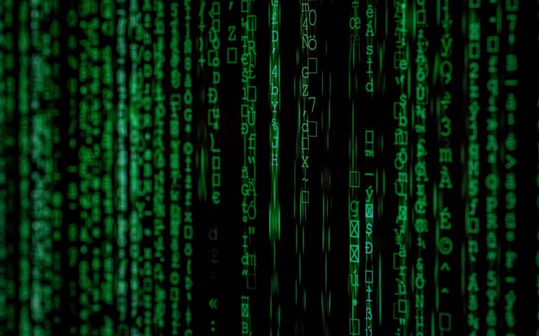 The Evolution of Information Management Training – Information Audit