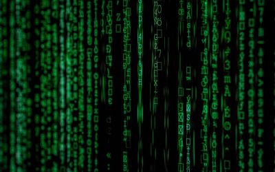 The Evolution of Information Management Training – Information Audit