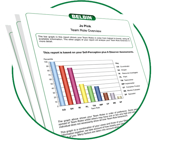 Belbin Report - Individual