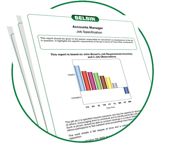 Belbin report - Job Specs
