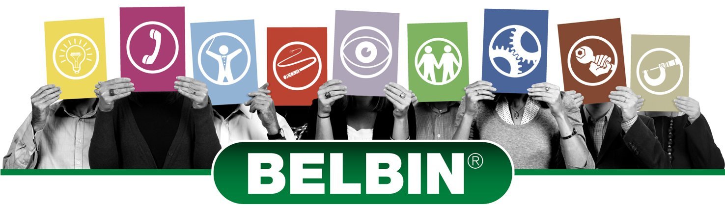 Belbin Team Roles Inventory