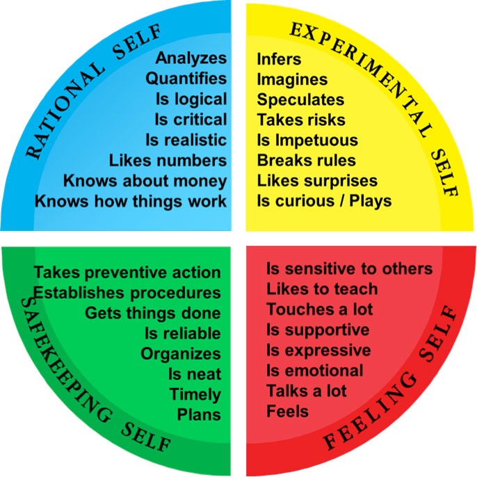 FUNDAMENTAL TRAINING & DEVELOPMENT 2 Hermann Brain Dominance infographic