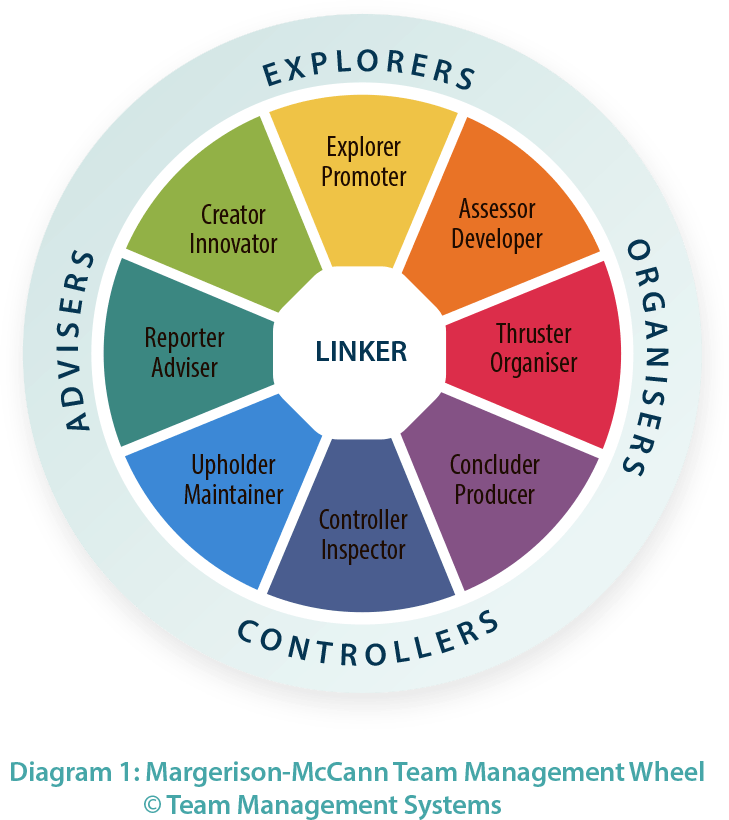 Team Management Systems - TMS