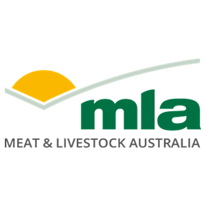MLA MLA